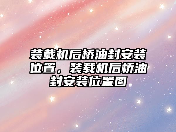 裝載機后橋油封安裝位置，裝載機后橋油封安裝位置圖