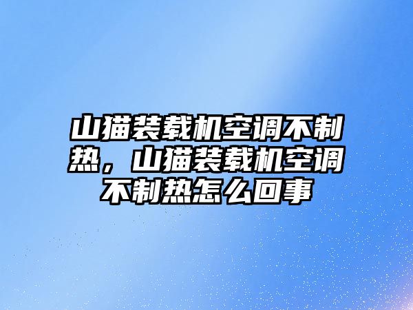 山貓裝載機空調不制熱，山貓裝載機空調不制熱怎么回事