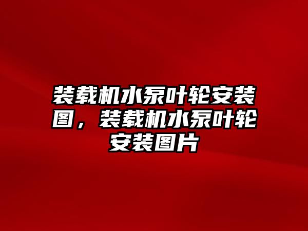 裝載機水泵葉輪安裝圖，裝載機水泵葉輪安裝圖片