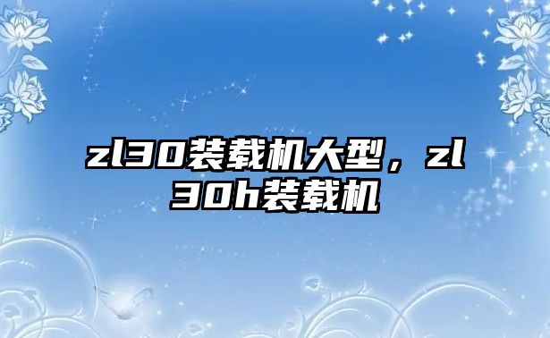 zl30裝載機大型，zl30h裝載機