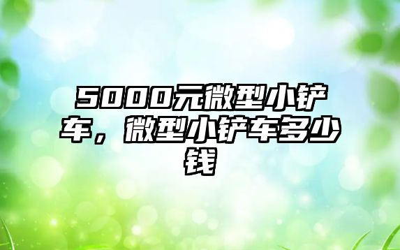 5000元微型小鏟車，微型小鏟車多少錢