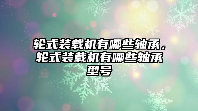 輪式裝載機有哪些軸承，輪式裝載機有哪些軸承型號