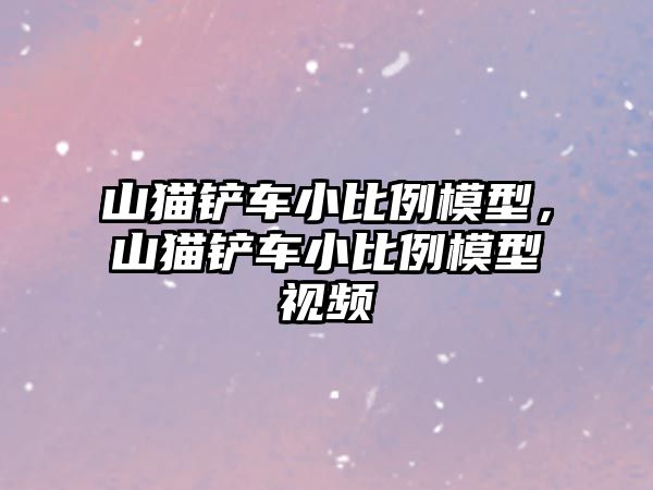 山貓鏟車小比例模型，山貓鏟車小比例模型視頻