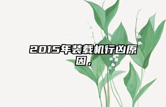 2015年裝載機行兇原因，