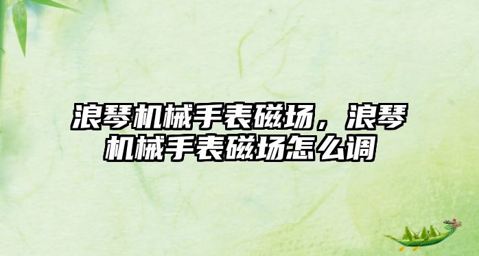 浪琴機械手表磁場，浪琴機械手表磁場怎么調