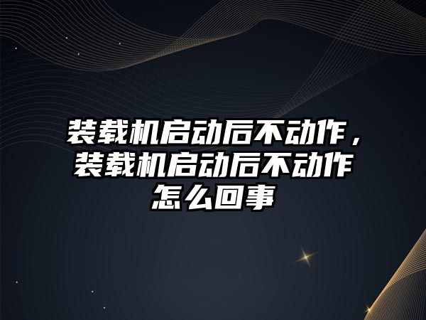 裝載機啟動后不動作，裝載機啟動后不動作怎么回事