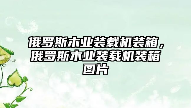 俄羅斯木業(yè)裝載機(jī)裝箱，俄羅斯木業(yè)裝載機(jī)裝箱圖片