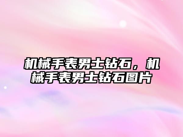 機械手表男士鉆石，機械手表男士鉆石圖片