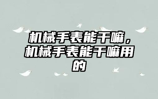 機械手表能干嘛，機械手表能干嘛用的