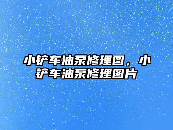 小鏟車油泵修理圖，小鏟車油泵修理圖片