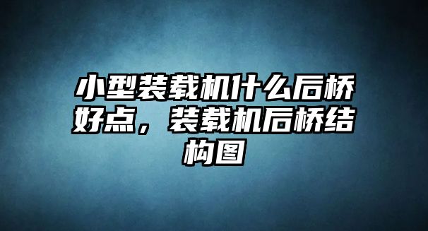 小型裝載機什么后橋好點，裝載機后橋結構圖