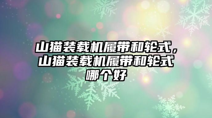 山貓裝載機履帶和輪式，山貓裝載機履帶和輪式哪個好