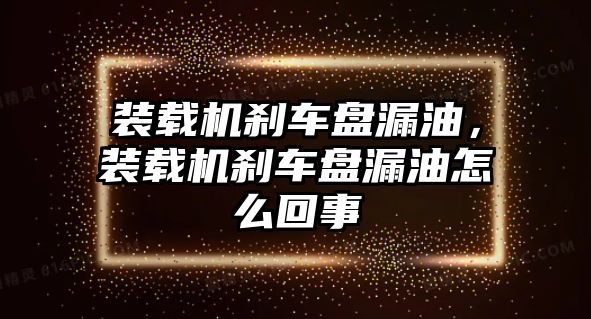 裝載機剎車盤漏油，裝載機剎車盤漏油怎么回事