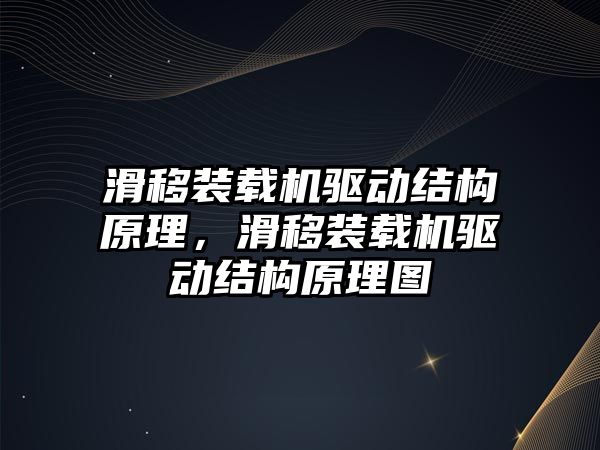 滑移裝載機驅動結構原理，滑移裝載機驅動結構原理圖