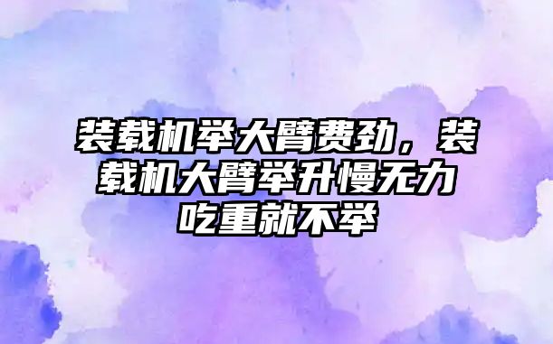 裝載機舉大臂費勁，裝載機大臂舉升慢無力吃重就不舉