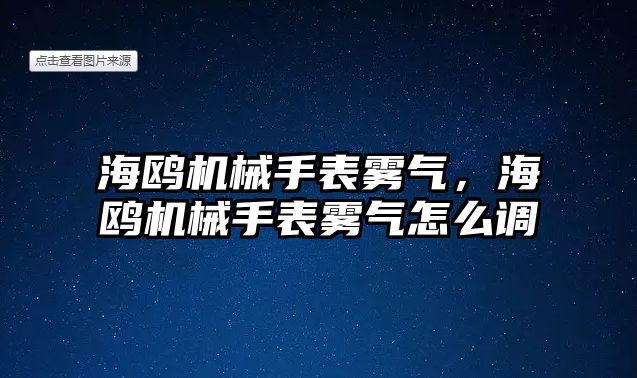 海鷗機械手表霧氣，海鷗機械手表霧氣怎么調