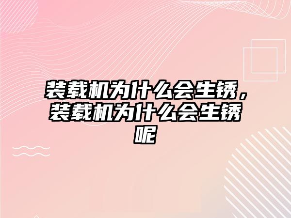 裝載機為什么會生銹，裝載機為什么會生銹呢