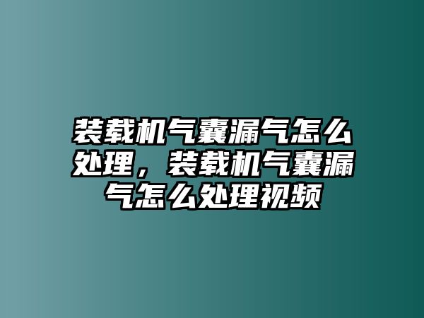 裝載機氣囊漏氣怎么處理，裝載機氣囊漏氣怎么處理視頻