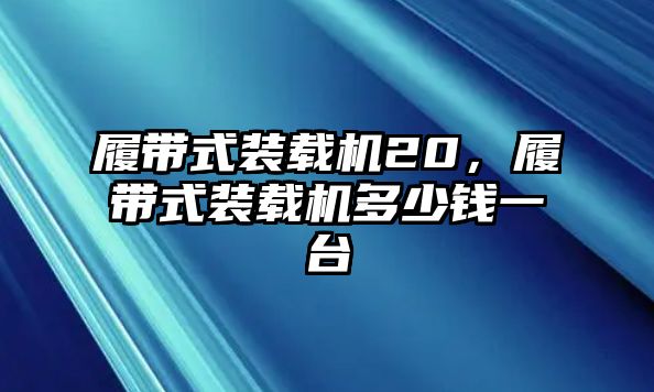 履帶式裝載機20，履帶式裝載機多少錢一臺