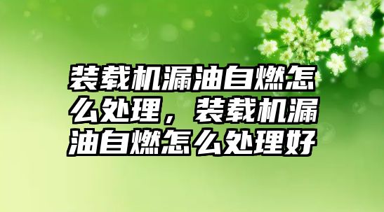 裝載機漏油自燃怎么處理，裝載機漏油自燃怎么處理好