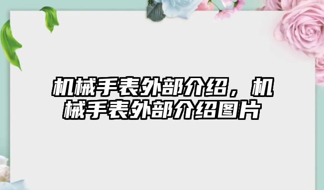 機械手表外部介紹，機械手表外部介紹圖片