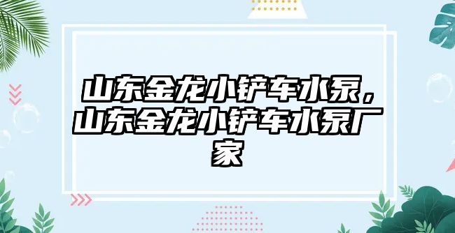 山東金龍小鏟車水泵，山東金龍小鏟車水泵廠家