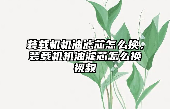 裝載機機油濾芯怎么換，裝載機機油濾芯怎么換視頻