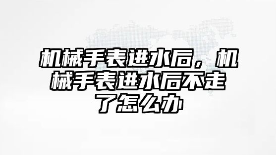 機械手表進水后，機械手表進水后不走了怎么辦