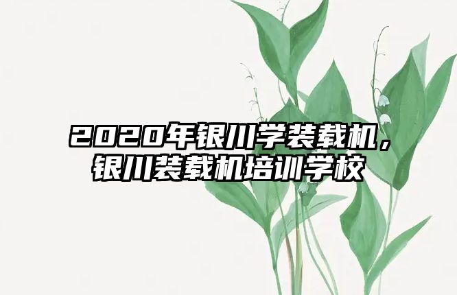 2020年銀川學裝載機，銀川裝載機培訓學校