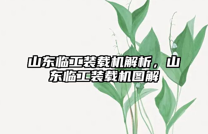 山東臨工裝載機解析，山東臨工裝載機圖解