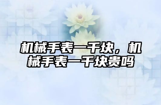 機械手表一千塊，機械手表一千塊貴嗎