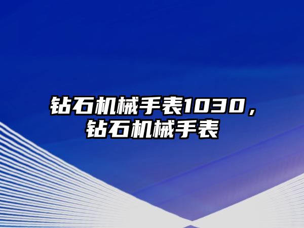 鉆石機械手表1030，鉆石機械手表