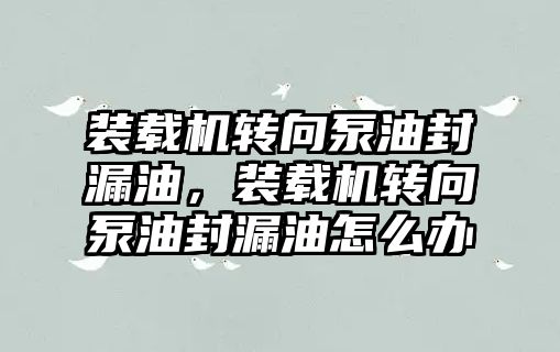 裝載機轉向泵油封漏油，裝載機轉向泵油封漏油怎么辦