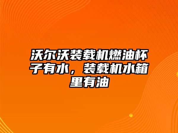 沃爾沃裝載機燃油杯子有水，裝載機水箱里有油