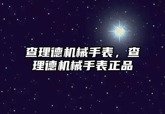 查理德機械手表，查理德機械手表正品