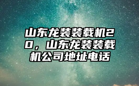 山東龍裝裝載機20，山東龍裝裝載機公司地址電話