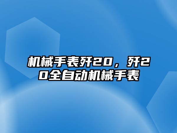 機械手表殲20，殲20全自動機械手表