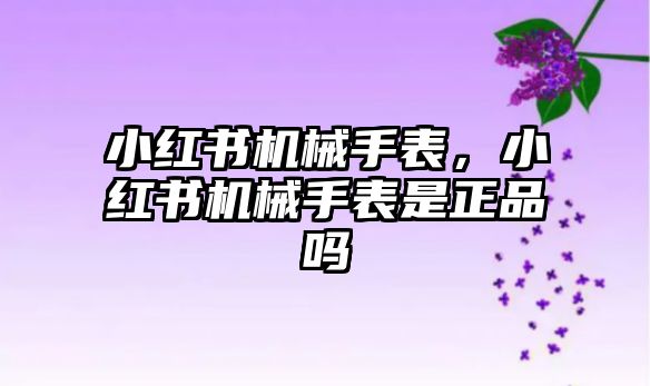 小紅書機械手表，小紅書機械手表是正品嗎