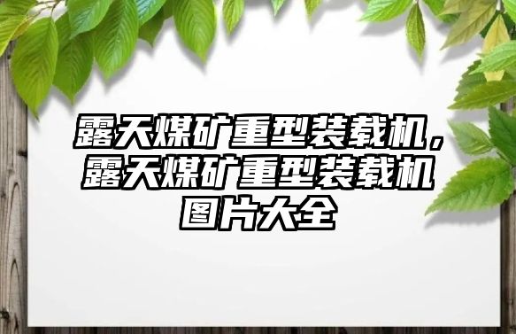 露天煤礦重型裝載機，露天煤礦重型裝載機圖片大全