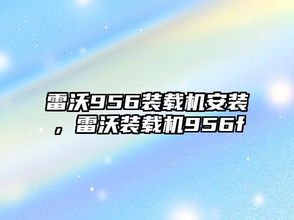 雷沃956裝載機安裝，雷沃裝載機956f