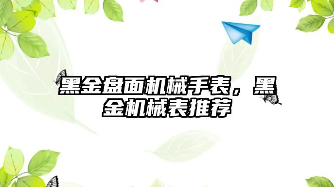 黑金盤面機械手表，黑金機械表推薦