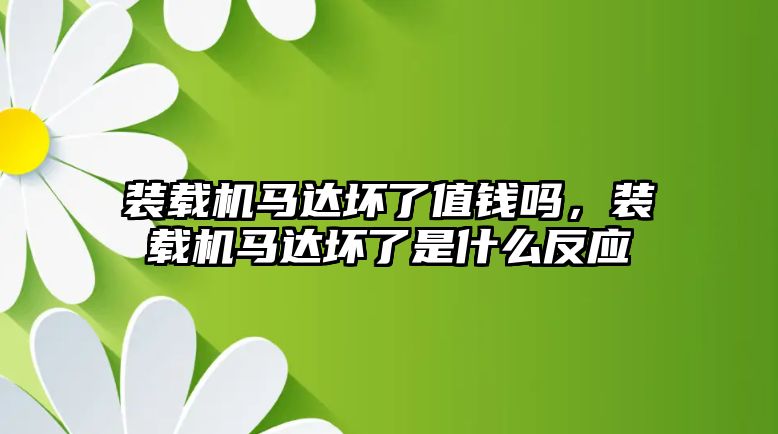 裝載機馬達壞了值錢嗎，裝載機馬達壞了是什么反應