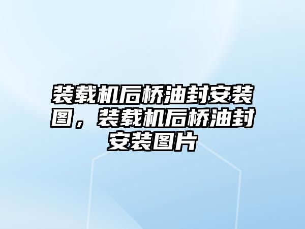 裝載機后橋油封安裝圖，裝載機后橋油封安裝圖片