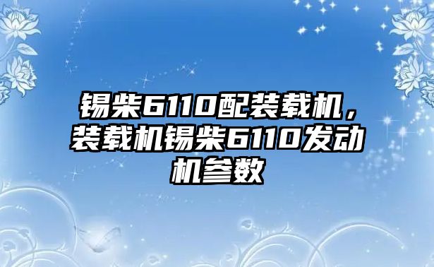 錫柴6110配裝載機，裝載機錫柴6110發動機參數