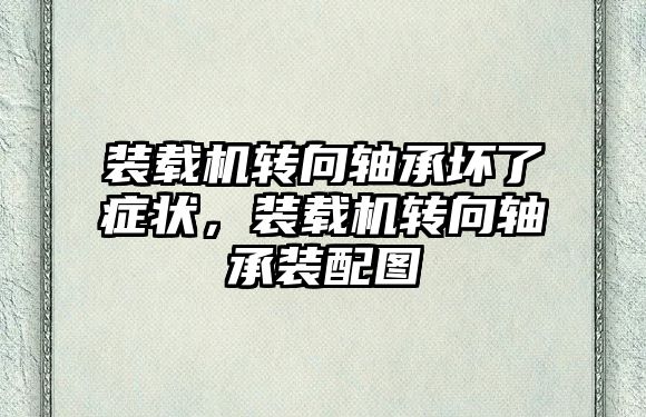 裝載機轉向軸承壞了癥狀，裝載機轉向軸承裝配圖