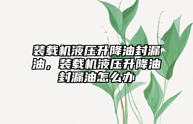 裝載機液壓升降油封漏油，裝載機液壓升降油封漏油怎么辦