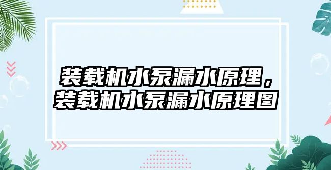 裝載機水泵漏水原理，裝載機水泵漏水原理圖