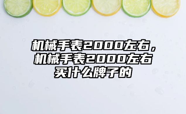 機械手表2000左右，機械手表2000左右買什么牌子的