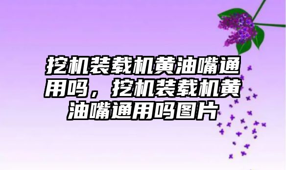 挖機裝載機黃油嘴通用嗎，挖機裝載機黃油嘴通用嗎圖片