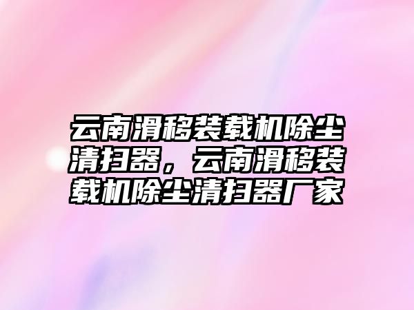 云南滑移裝載機除塵清掃器，云南滑移裝載機除塵清掃器廠家